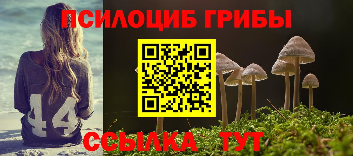 Галлюциногенные грибы GOLDEN TEACHER Чапаевск