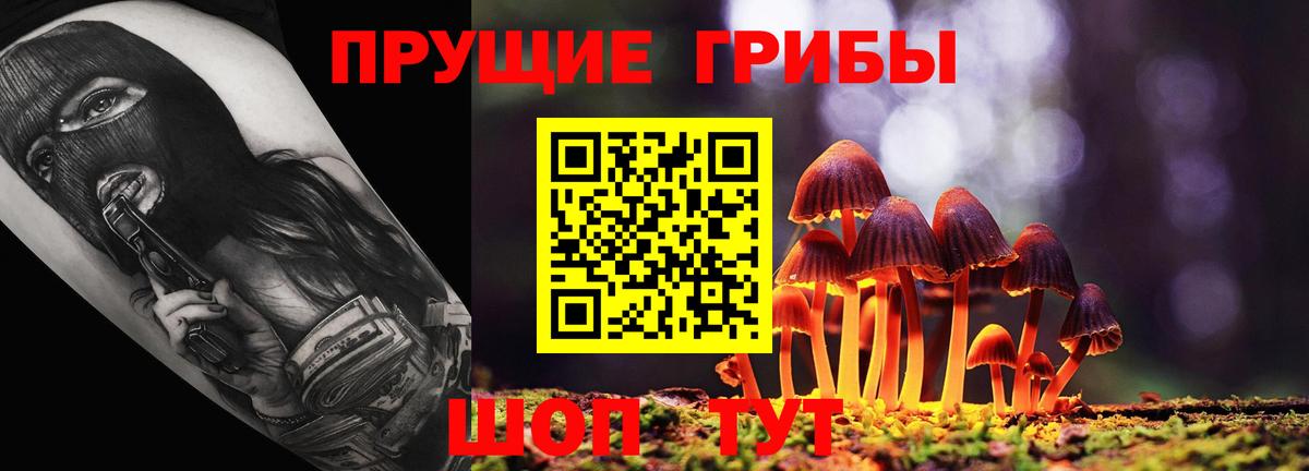Чапаевск  Псилоцибиновые грибы прущие грибы  Галлюциногенные грибы Magic Shrooms  Вход с VPN 
